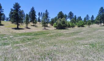28111 County Rd 41.4, Aguilar, CO 81020