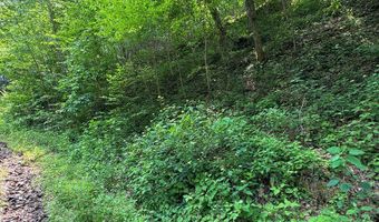 88 Acres Bolden Br, Andrews, NC 28901