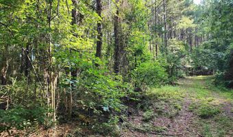 0 Lowery Rd Lot #11, Atmore, AL 36502