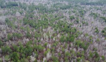 Saint John Road, Braxton, MS 39044