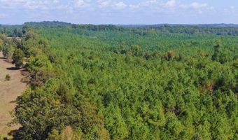 0 CR 320, Big Creek, MS 38914