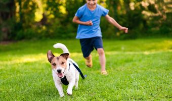 38536 Winterberry Dr, Delmar, DE 19940