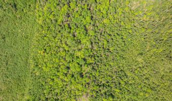 105 Gales Rd, Abbot, ME 04406