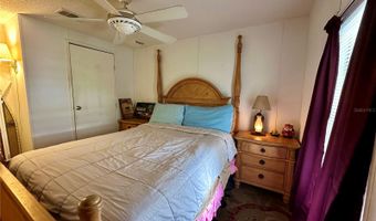 56233 WATER OAK Rd, Astor, FL 32102