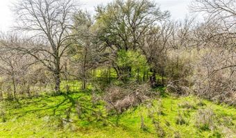 Lot 8 Ranches at Comanche Point, Hico, TX 76457