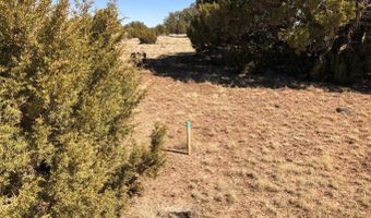 122 Spruce St, Concho, AZ 85924
