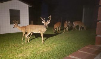 10823 Wyllia Rd, Benton, AR 72019