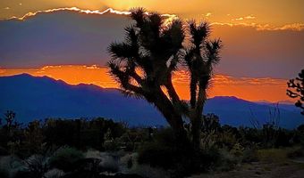 2641 S Javalina Rd, Yucca, AZ 86438
