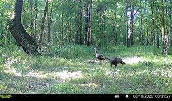 0 Champion Hill Rd, Bolton, MS 39041