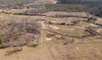 tbd 54.89 Acres N Hwy 53, Arkadelphia, AR 71923