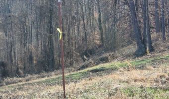 Lord Botetourt Court lot 13, Baxter, TN 38506