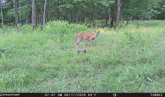 694 A Tunnel Ridge Rd, Argillite, KY 41121