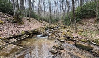 62 Acres Buckeye Ridge Rd, Beech Mountain, NC 28604