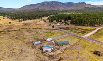 25350 Highway 191, Alpine, AZ 85920