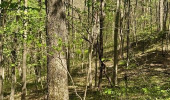 E Captina Highway Road, Alledonia, OH 43902