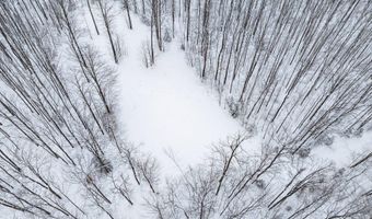 7438 Afton Rd, Afton, MI 49705