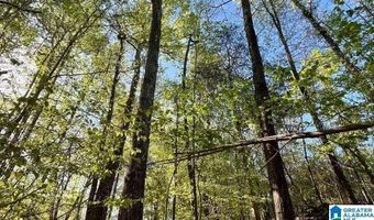 LANDFILL ROAD lot 1, Ashland, AL 36251