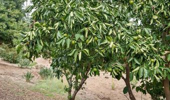 2719 Via Del Robles, Fallbrook, CA 92028