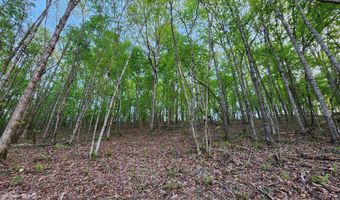 4622 Parker Loop Rd, Birchwood, TN 37308