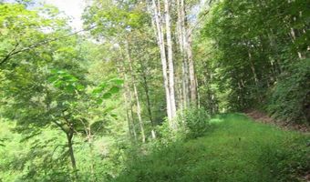 43 Sanctuary Ln, Alderson, WV 24910