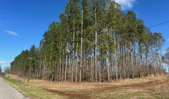 Smith County Road 99, Bay Springs, MS 39422