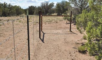 19 C & D County Rd N9033, Concho, AZ 85924
