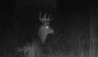 9888 Salem Rd, Athens, OH 45701