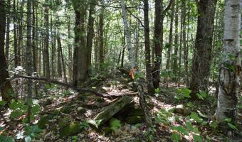 44 Dore Hill Rd, Athens, ME 04912