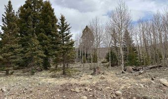 El Camino Real, Angel Fire, NM 87710