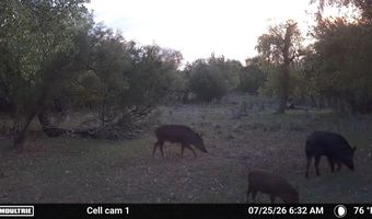 489 County Road 243, Afton, TX 79220