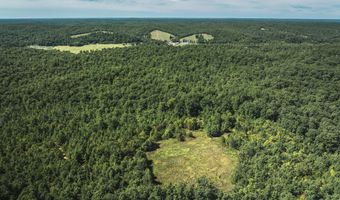 470 County Road 118, Annapolis, MO 63670