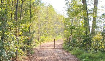 18 62 Ac Squirrell Hollow Rd, Alberta, VA 23821