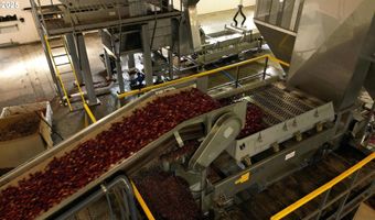 54981 MORRISON Rd, Bandon, OR 97411