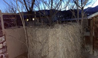 235 W Carson St, Ely, NV 89311