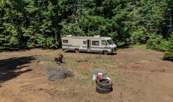 1251 CANYON Rd, Appleton, WA 98602