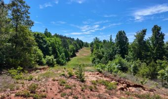 County Road 38, Autaugaville, AL 36003