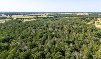 FM 1655 Trail, Alvord, TX 76225