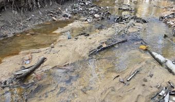 U.S. Highway 51, Bogue Chitto, MS 39629
