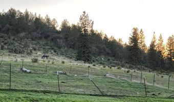6310 Happy Hollow Ln, Bonanza, OR 97623
