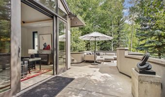 307 N Sixth St, Aspen, CO 81611