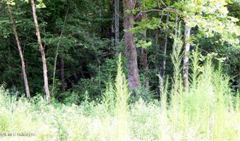590 County Road 247, Bruce, MS 38915
