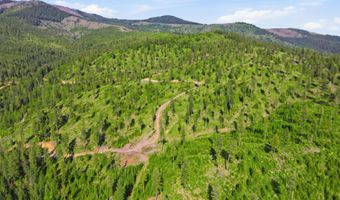 NNA Stone Rd Lot 5 20.0 Acres, Blanchard, ID 83804