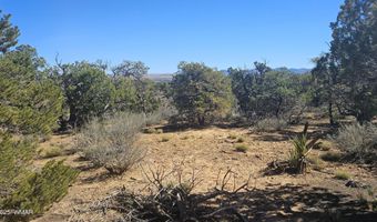 4 County Rd, Concho, AZ 85924