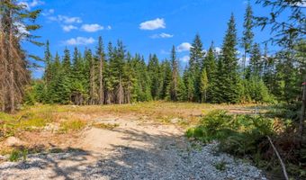 L13B1 Leonard Loop, Athol, ID 83801