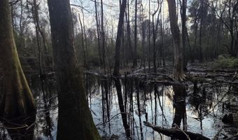 U.S. Highway 51, Bogue Chitto, MS 39629