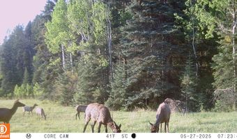 15098 CR 240, Bayfield, CO 81122