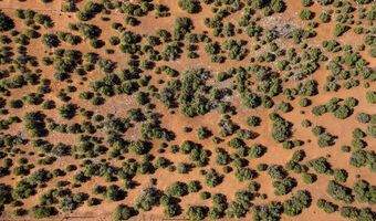 233 Co, Concho, AZ 85924