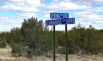 5 Clubhouse Ln, Concho, AZ 85924