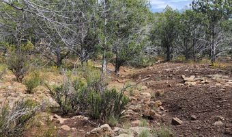 912 Westwood Rnch, Ash Fork, AZ 86320
