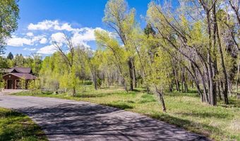 65 Pinestone Dr, Bayfield, CO 81122